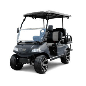 Arctic Gray Evolution Classic 4 Plus - For Sale at Woody's Golf Carts