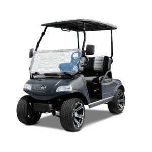 Arctic Gray Evolution Classic 2 Plus - For Sale at Woody's Golf Carts
