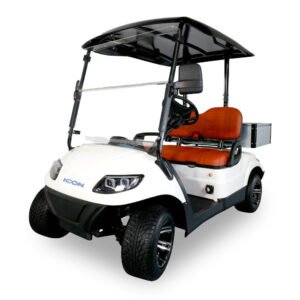 Icon C20S - For Sale at Woody's Golf Carts