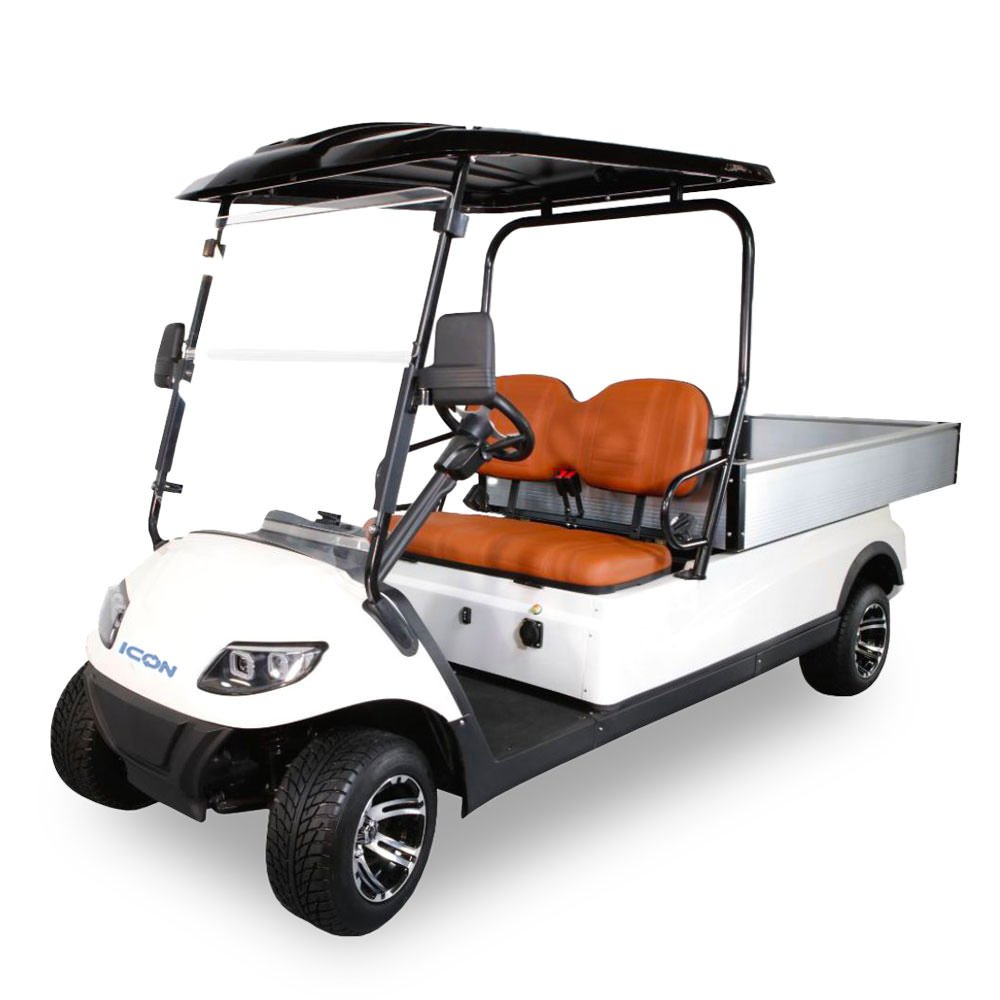 Icon C20U - For Sale at Woody's Golf Carts
