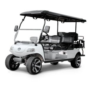 Evolution Carrier 6 Plus - For Sale at Woody's Golf Carts